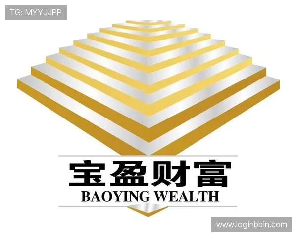 宝盈集团是干嘛的以及其在金融投资领域的主要业务介绍